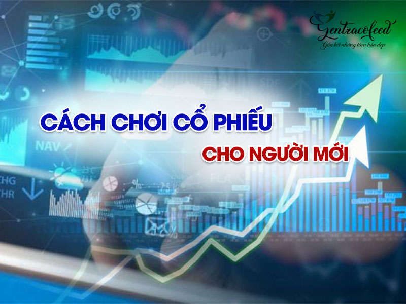 Cách chơi cổ phiếu cho người mới