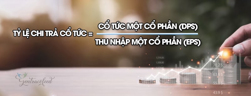 Công thức tính tỷ lệ chi trả cổ tức