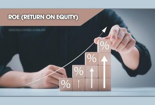 ROE (Return On Equity) là gì