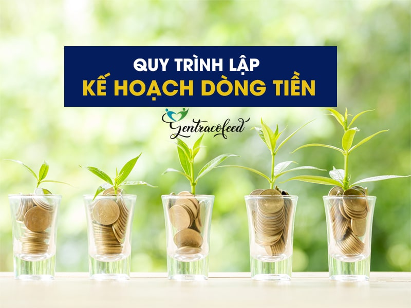 quy trình lập kế hoạch dòng tiền