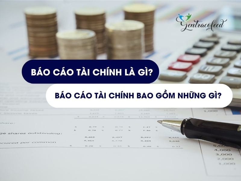 Báo Cáo Tài Chính Là Gì? Báo Cáo Tài Chính Bao Gồm Những Gì?