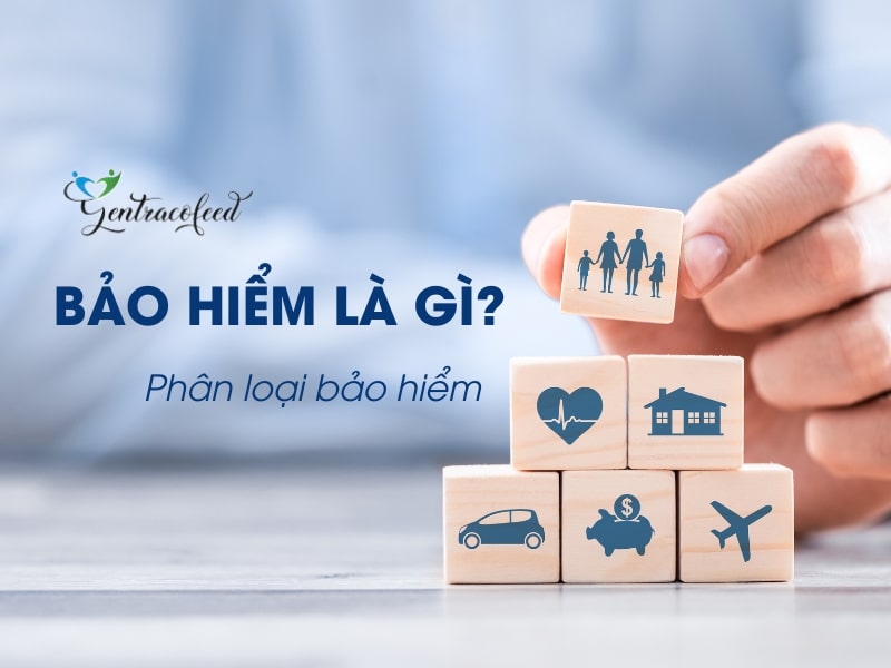 bảo hiểm là gì